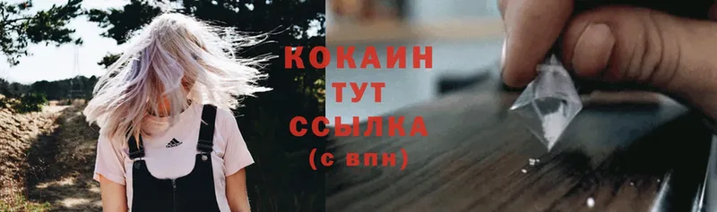 COCAIN Боливия  Кузнецк 