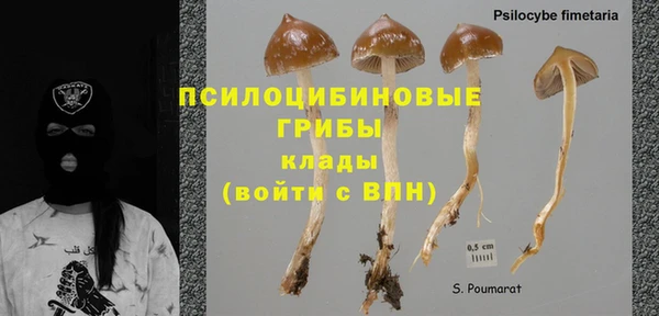ECSTASY Новодвинск