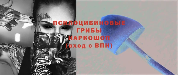 ECSTASY Новодвинск