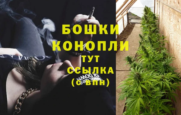 молекула духа Новокубанск
