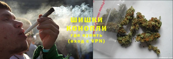 молекула духа Новокубанск