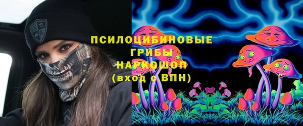 марихуана Новозыбков