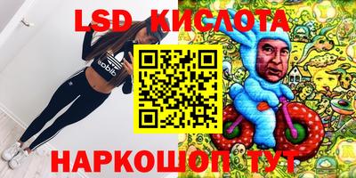 гидропоника Гусев