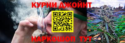 гидропоника Гусев
