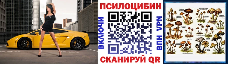 Псилоцибиновые грибы MAGIC MUSHROOMS  Кузнецк 