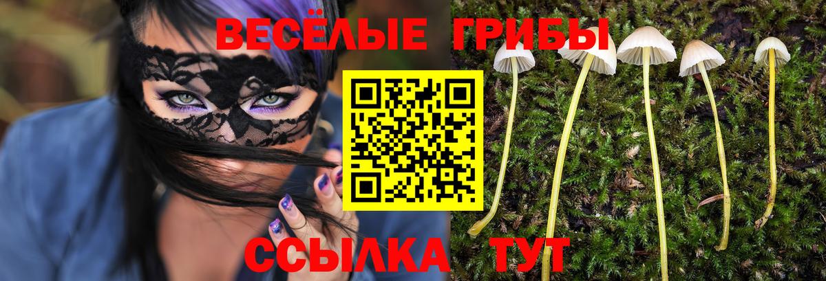 Псилоцибиновые грибы Magic Shrooms Кузнецк