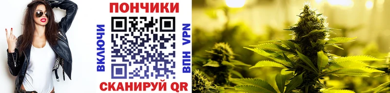МАРИХУАНА Amnesia  как найти закладки  сайты даркнета Telegram  Кузнецк 
